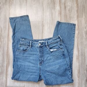 PacSun Med Wash Denim Blue Mom Jeans High Rise Straight Leg Sz 27